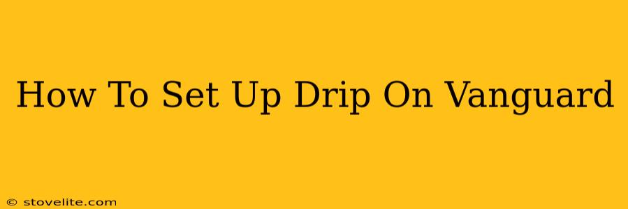 How To Set Up Drip On Vanguard