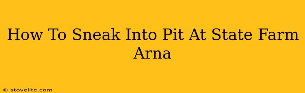 How To Sneak Into Pit At State Farm Arna