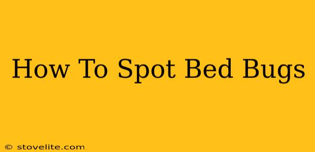 How To Spot Bed Bugs