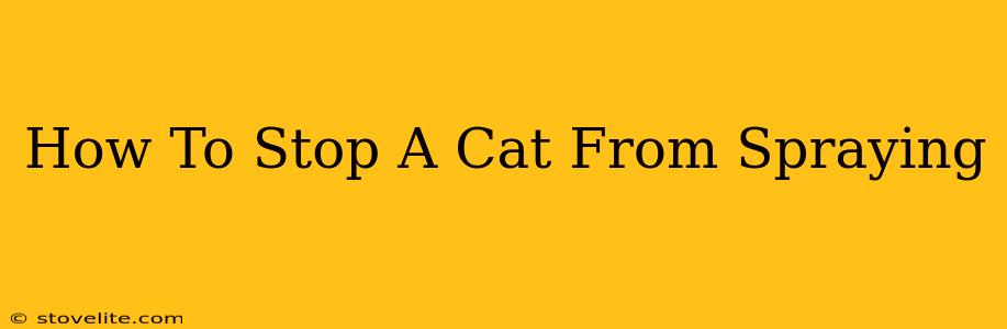 How To Stop A Cat From Spraying