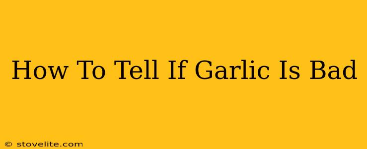 How To Tell If Garlic Is Bad