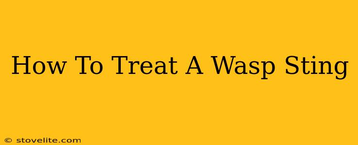 How To Treat A Wasp Sting