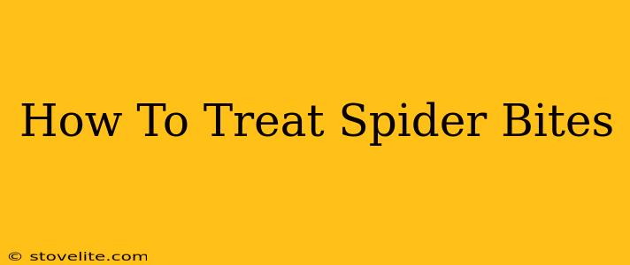 How To Treat Spider Bites