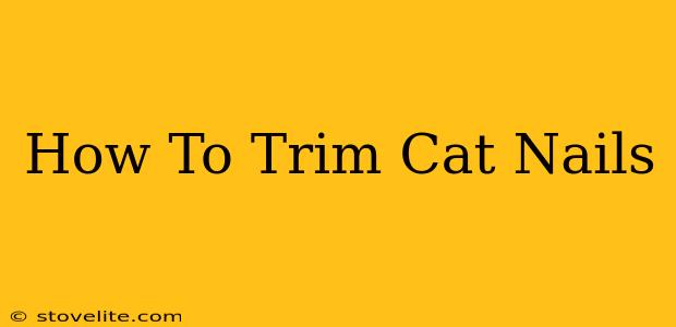 How To Trim Cat Nails