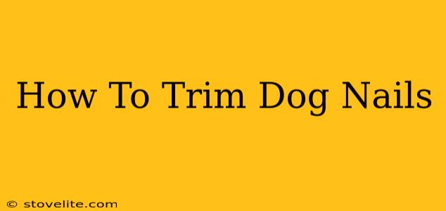 How To Trim Dog Nails