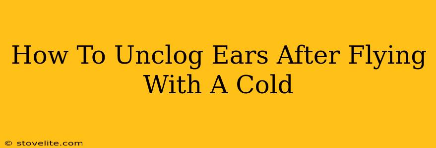 How To Unclog Ears After Flying With A Cold