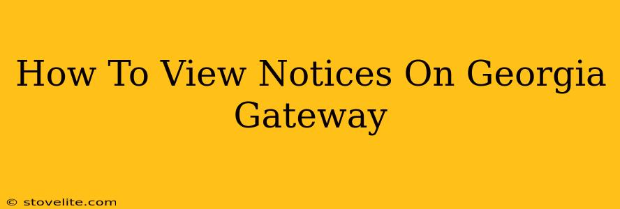 How To View Notices On Georgia Gateway