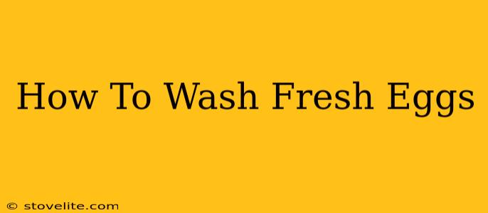 How To Wash Fresh Eggs