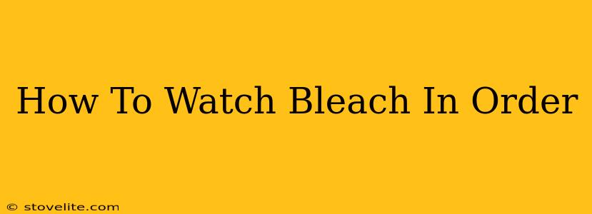 How To Watch Bleach In Order