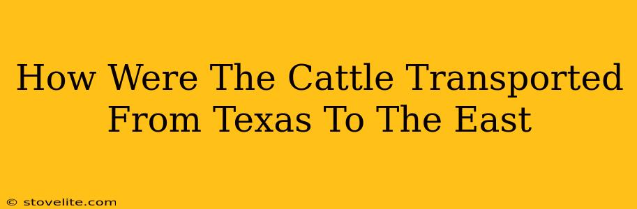 How Were The Cattle Transported From Texas To The East