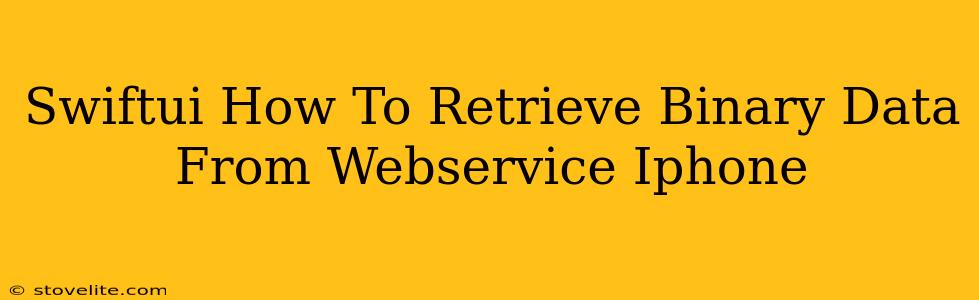 Swiftui How To Retrieve Binary Data From Webservice Iphone