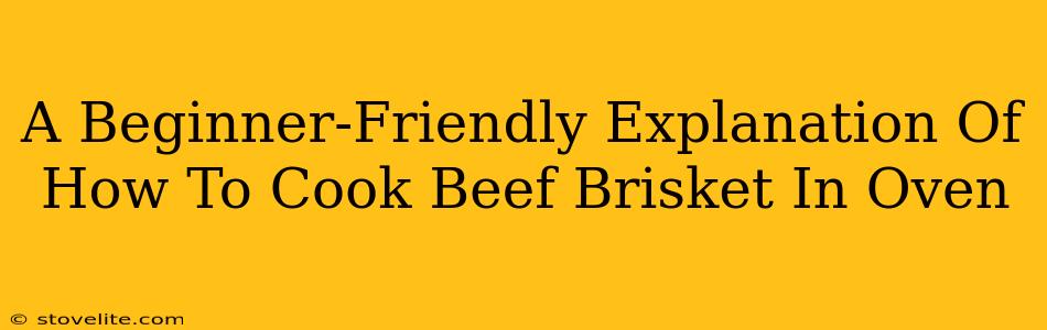 A Beginner-Friendly Explanation Of How To Cook Beef Brisket In Oven