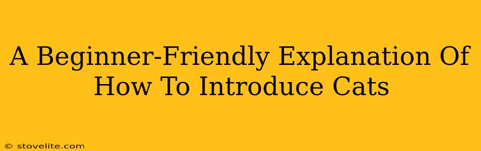 A Beginner-Friendly Explanation Of How To Introduce Cats