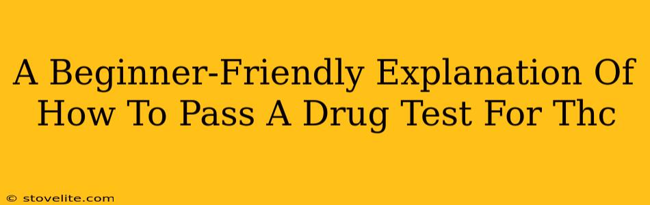 A Beginner-Friendly Explanation Of How To Pass A Drug Test For Thc