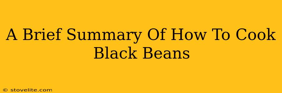 A Brief Summary Of How To Cook Black Beans