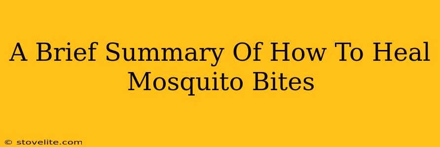 A Brief Summary Of How To Heal Mosquito Bites