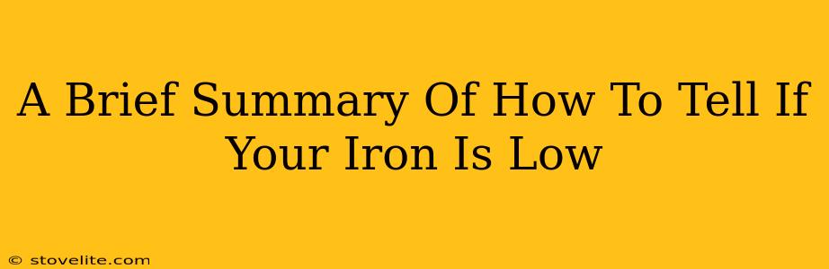 A Brief Summary Of How To Tell If Your Iron Is Low