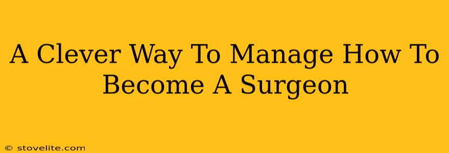 A Clever Way To Manage How To Become A Surgeon