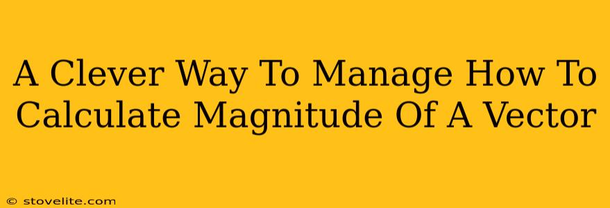 A Clever Way To Manage How To Calculate Magnitude Of A Vector