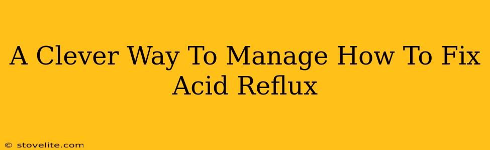 A Clever Way To Manage How To Fix Acid Reflux