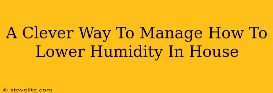 A Clever Way To Manage How To Lower Humidity In House