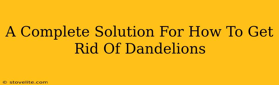 A Complete Solution For How To Get Rid Of Dandelions