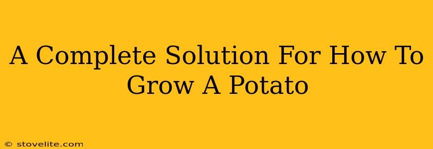 A Complete Solution For How To Grow A Potato