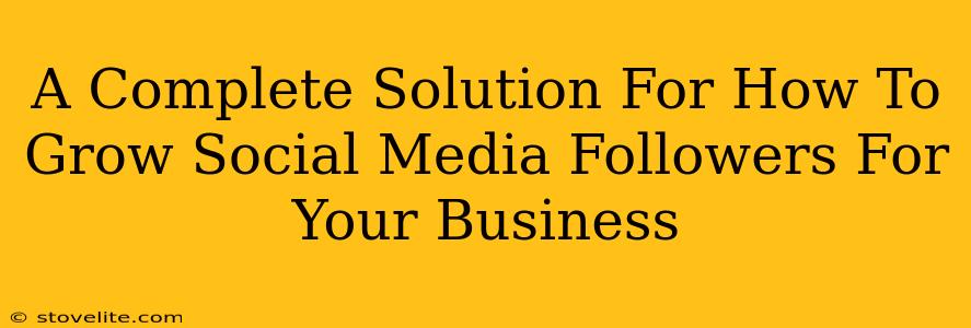 A Complete Solution For How To Grow Social Media Followers For Your Business