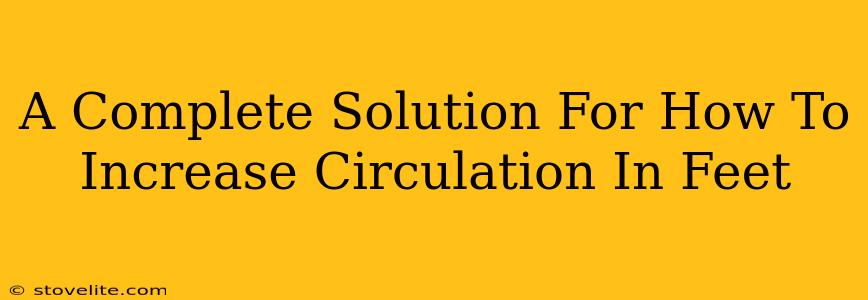 A Complete Solution For How To Increase Circulation In Feet