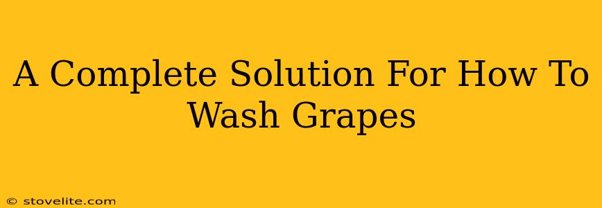 A Complete Solution For How To Wash Grapes