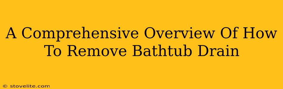 A Comprehensive Overview Of How To Remove Bathtub Drain