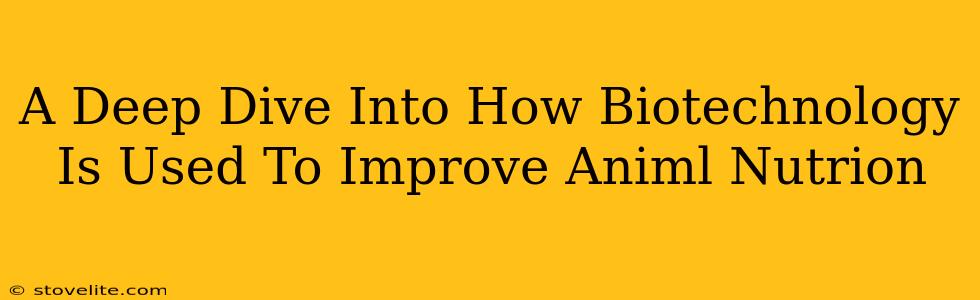 A Deep Dive Into How Biotechnology Is Used To Improve Animl Nutrion