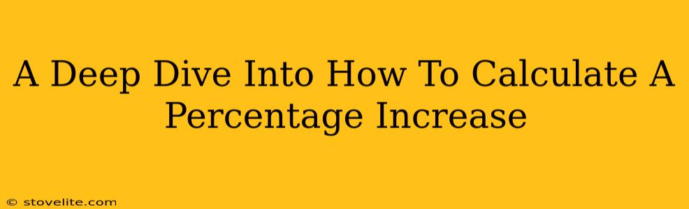 A Deep Dive Into How To Calculate A Percentage Increase