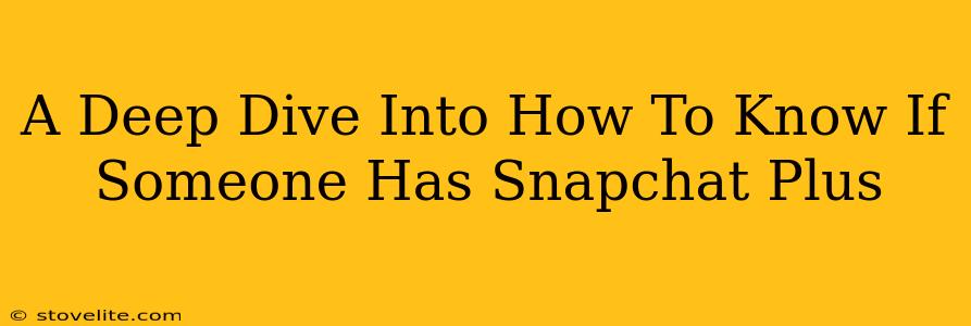 A Deep Dive Into How To Know If Someone Has Snapchat Plus