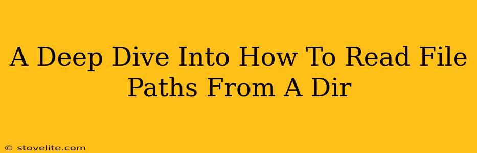A Deep Dive Into How To Read File Paths From A Dir