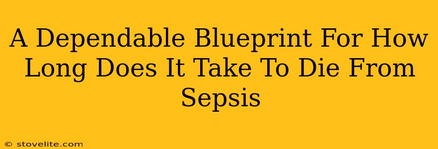 A Dependable Blueprint For How Long Does It Take To Die From Sepsis