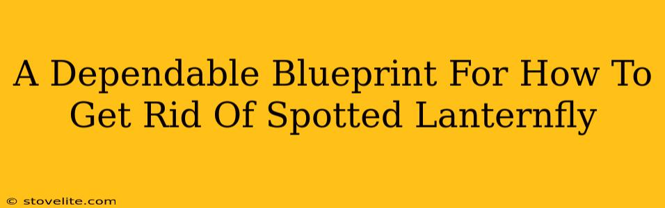 A Dependable Blueprint For How To Get Rid Of Spotted Lanternfly