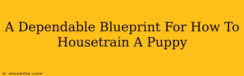 A Dependable Blueprint For How To Housetrain A Puppy