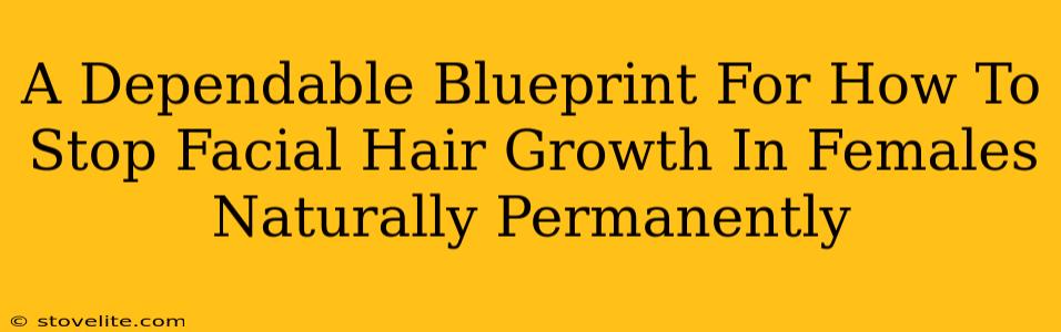 A Dependable Blueprint For How To Stop Facial Hair Growth In Females Naturally Permanently