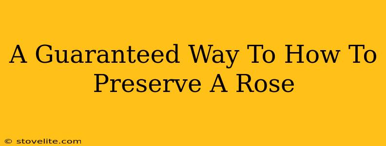 A Guaranteed Way To How To Preserve A Rose