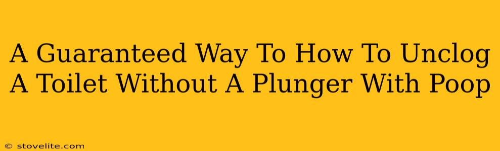 A Guaranteed Way To How To Unclog A Toilet Without A Plunger With Poop