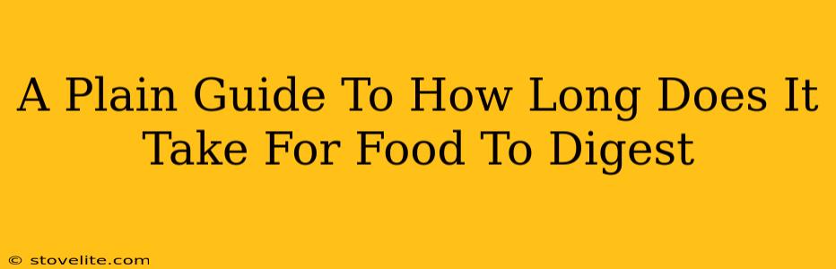 A Plain Guide To How Long Does It Take For Food To Digest