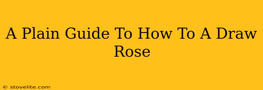 A Plain Guide To How To A Draw Rose