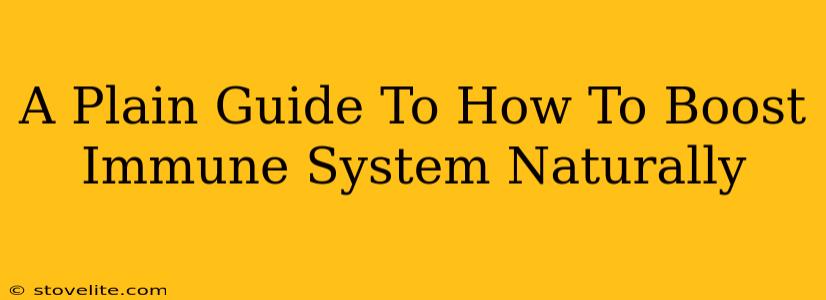 A Plain Guide To How To Boost Immune System Naturally