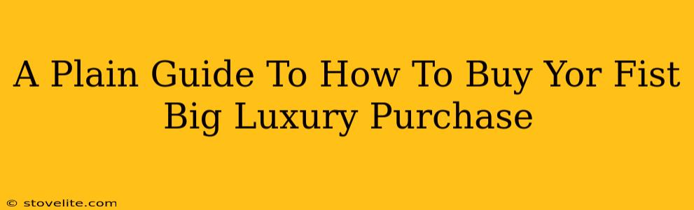 A Plain Guide To How To Buy Yor Fist Big Luxury Purchase