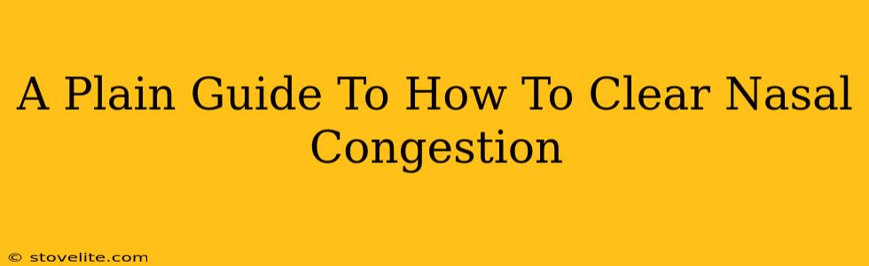 A Plain Guide To How To Clear Nasal Congestion