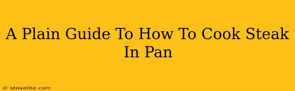 A Plain Guide To How To Cook Steak In Pan