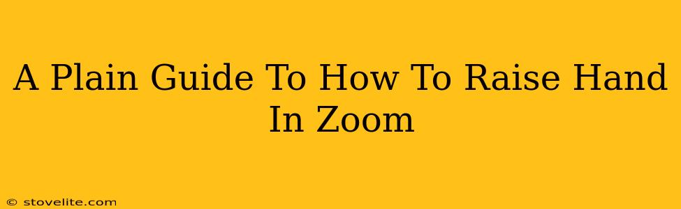 A Plain Guide To How To Raise Hand In Zoom