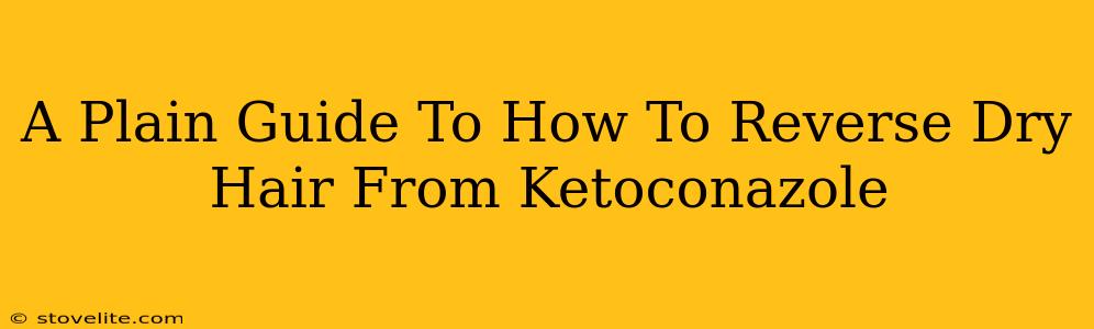 A Plain Guide To How To Reverse Dry Hair From Ketoconazole