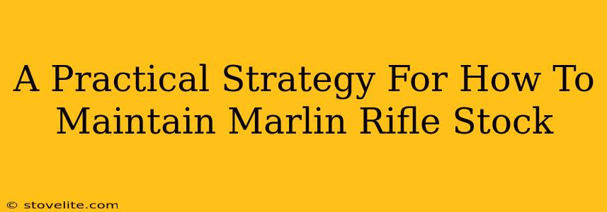 A Practical Strategy For How To Maintain Marlin Rifle Stock